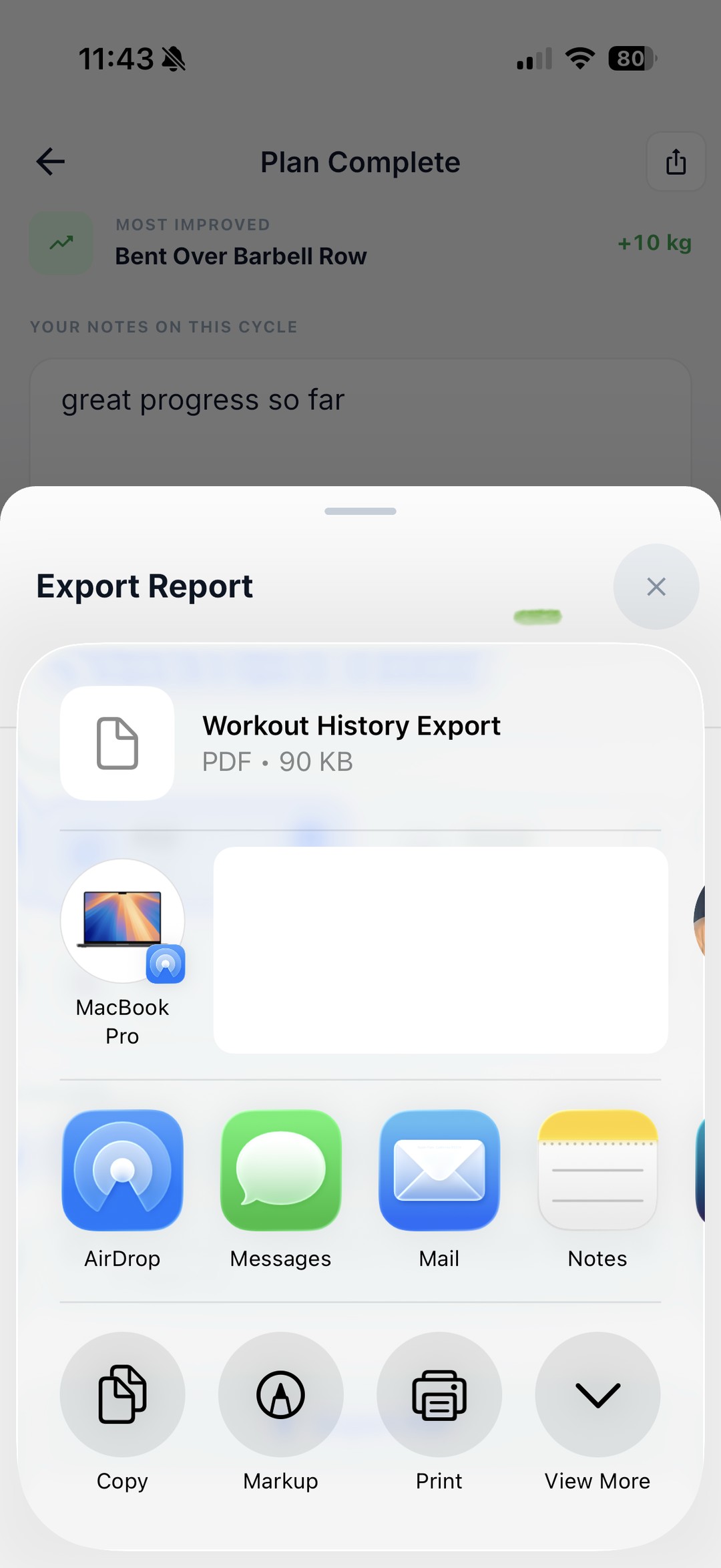 The generated export file handed to the iOS share sheet